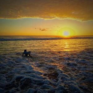 Meet your Posher, Thomas